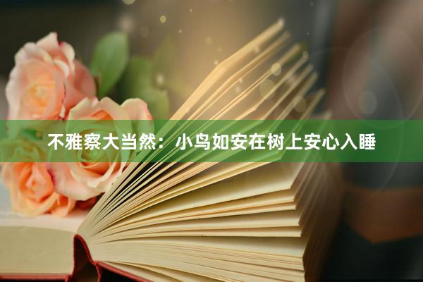 不雅察大当然：小鸟如安在树上安心入睡